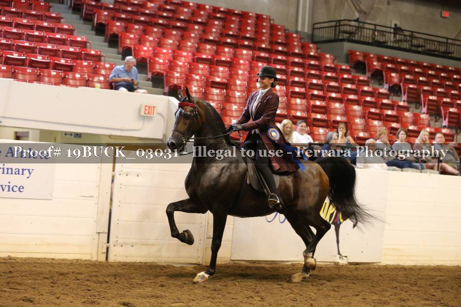 Proof 19BUCK_03031