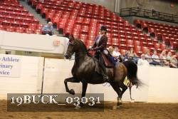 19BUCK_03031 proof