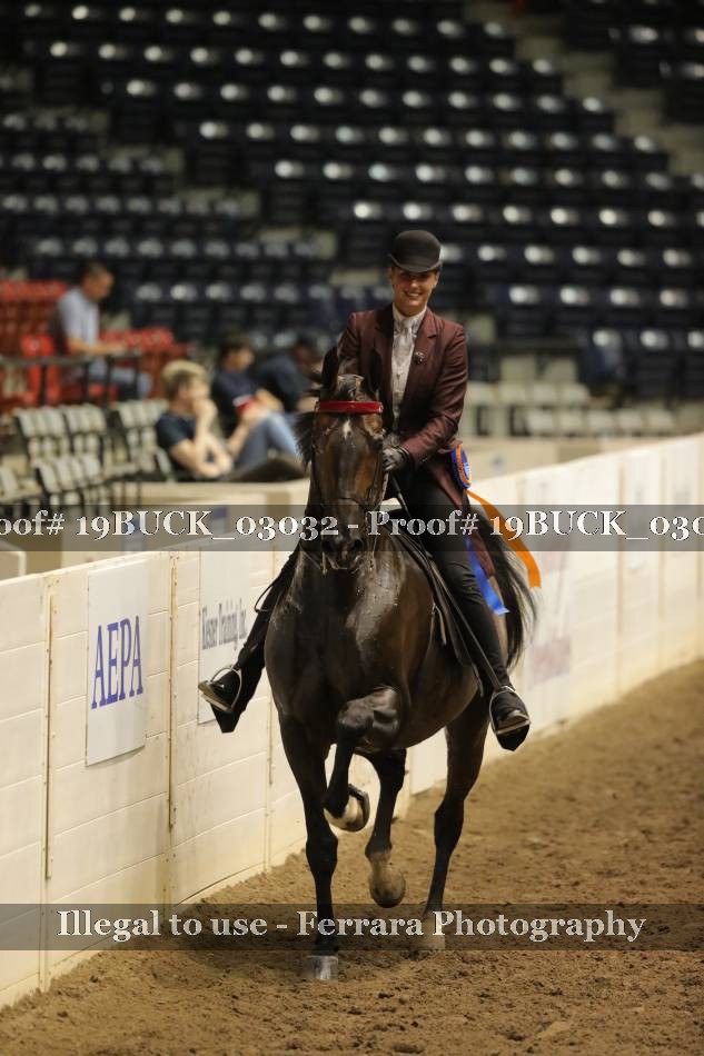Proof 19BUCK_03032