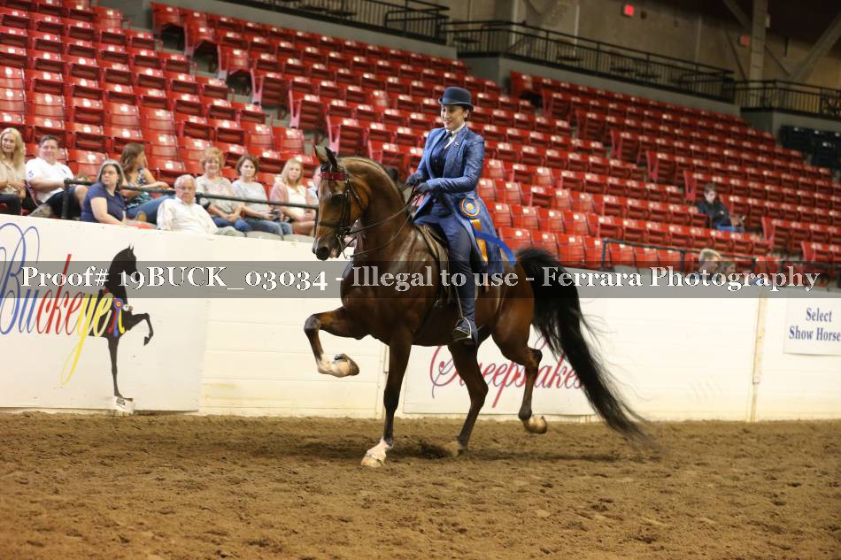 Proof 19BUCK_03034