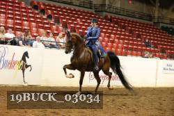 19BUCK_03034 proof