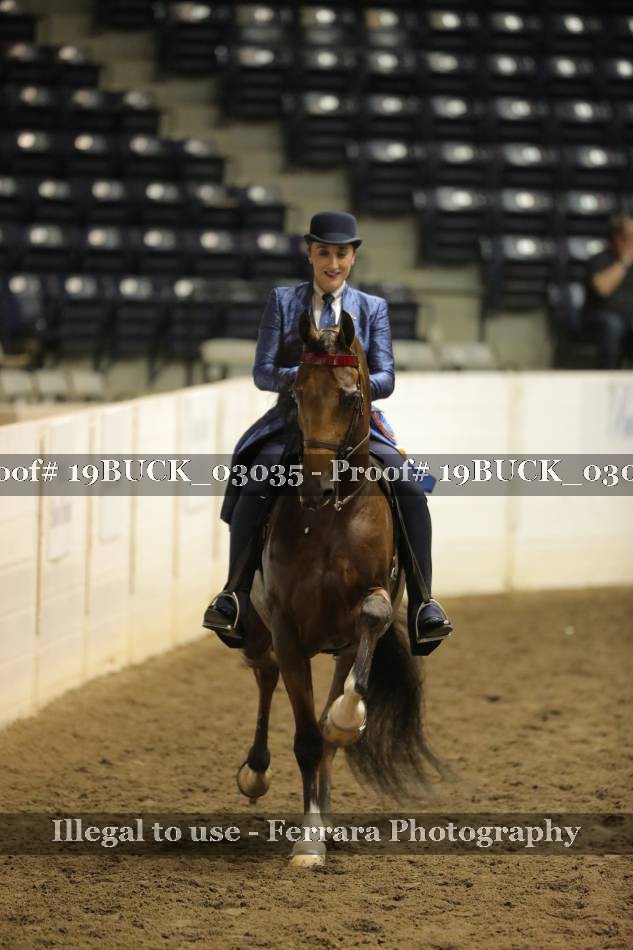 Proof 19BUCK_03035