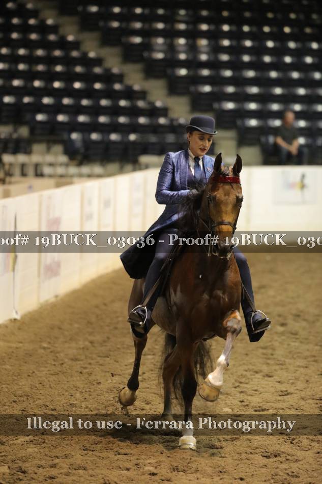 Proof 19BUCK_03036