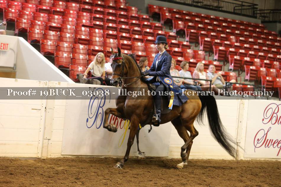 Proof 19BUCK_03038