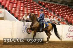 19BUCK_03038 proof