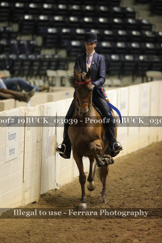 Proof 19BUCK_03039