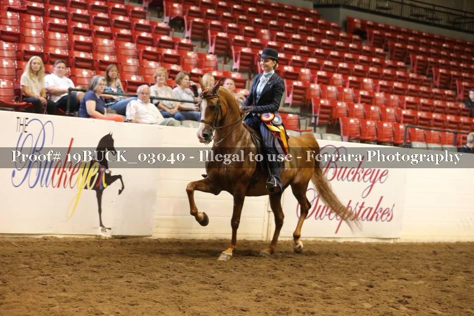 Proof 19BUCK_03040