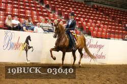 19BUCK_03040 proof