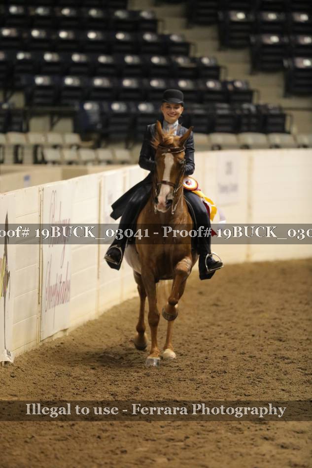Proof 19BUCK_03041