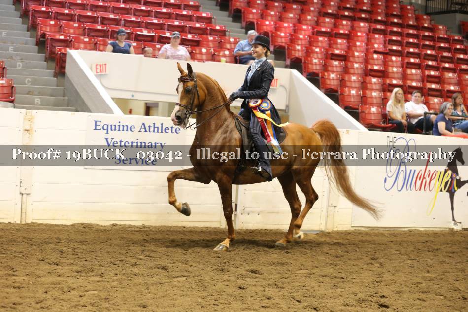 Proof 19BUCK_03042