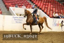 19BUCK_03042 proof