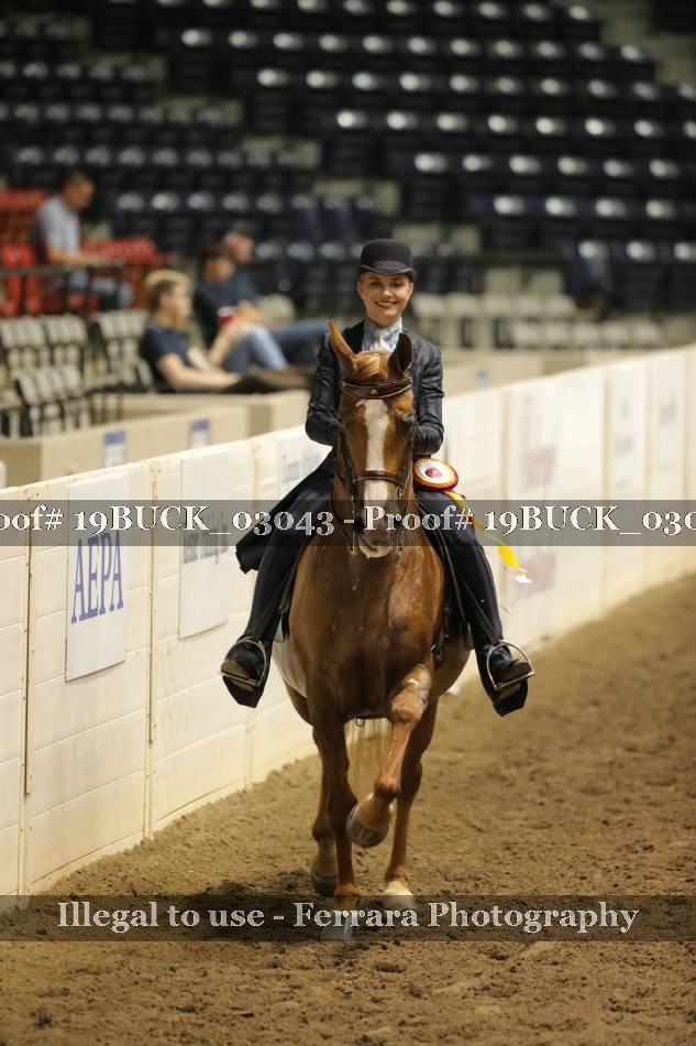 Proof 19BUCK_03043