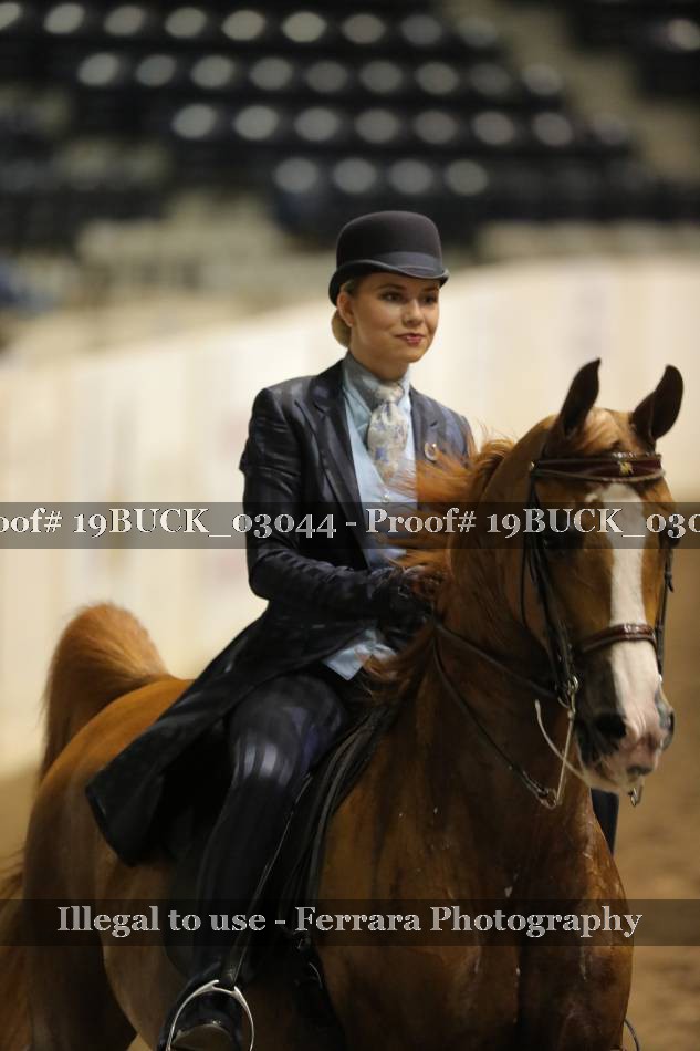 Proof 19BUCK_03044
