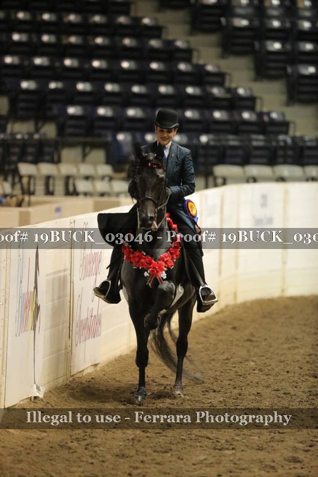 Proof 19BUCK_03046