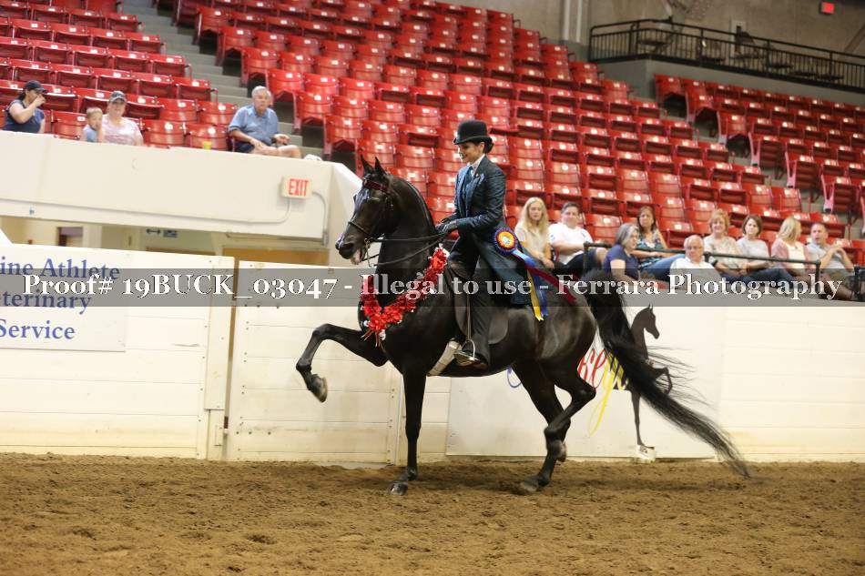 Proof 19BUCK_03047