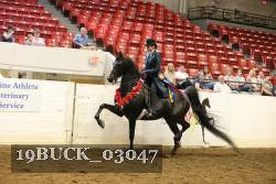 19BUCK_03047 proof