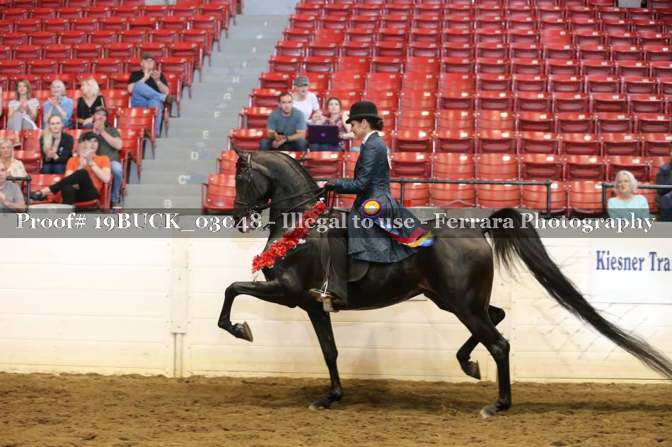 Proof 19BUCK_03048