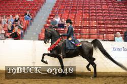 19BUCK_03048 proof