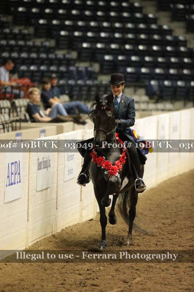 Proof 19BUCK_03049