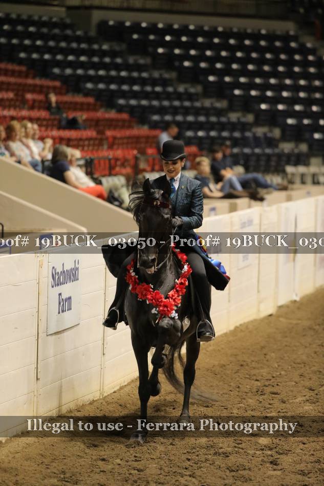 Proof 19BUCK_03050