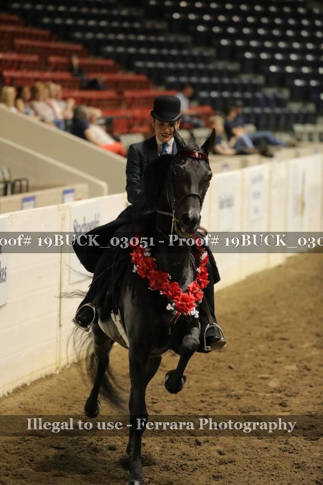 Proof 19BUCK_03051