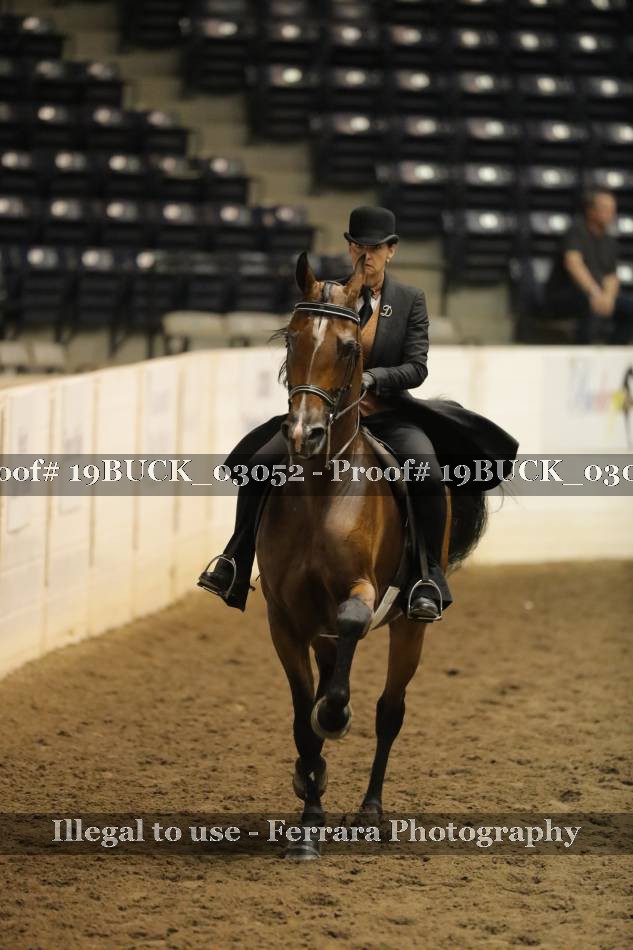 Proof 19BUCK_03052
