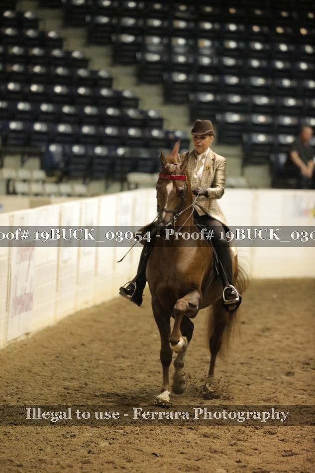 Proof 19BUCK_03054
