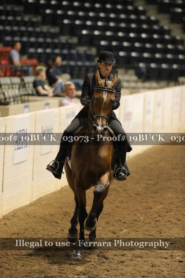 Proof 19BUCK_03073