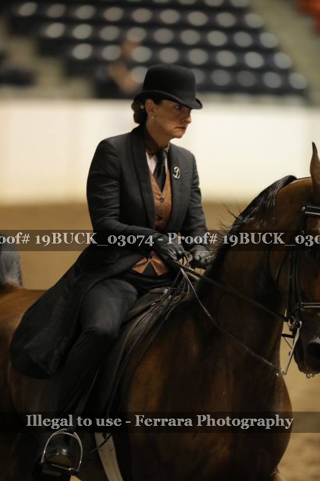 Proof 19BUCK_03074