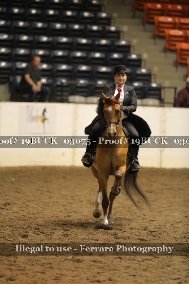 Proof 19BUCK_03075