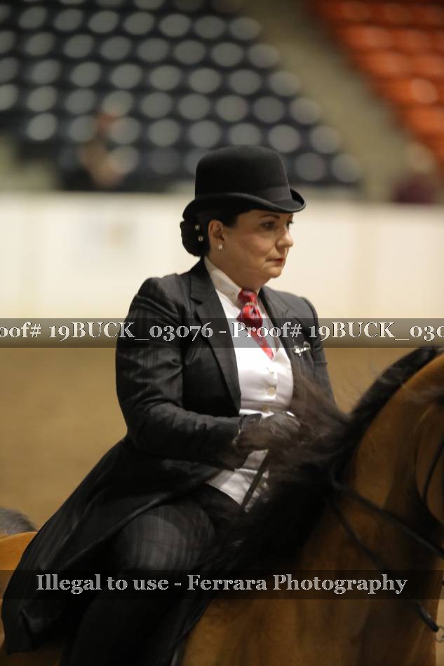 Proof 19BUCK_03076
