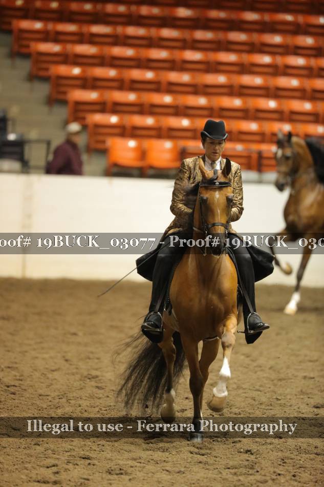 Proof 19BUCK_03077