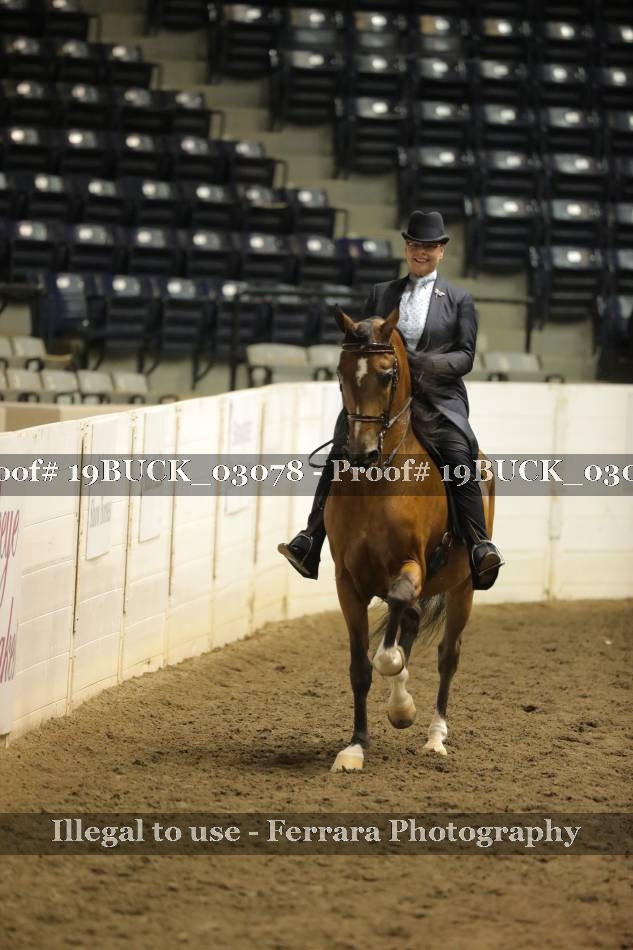 Proof 19BUCK_03078