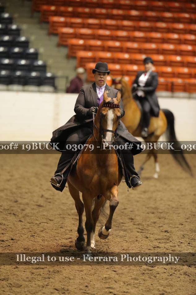 Proof 19BUCK_03079