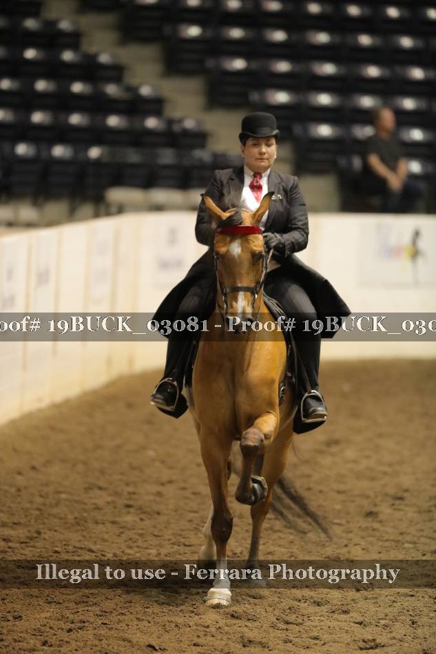 Proof 19BUCK_03081