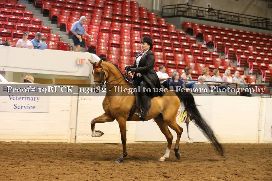 Proof 19BUCK_03082