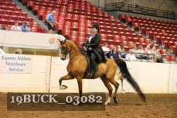19BUCK_03082 proof