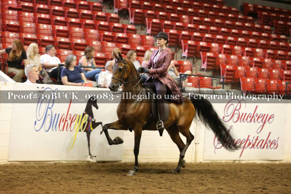 Proof 19BUCK_03083