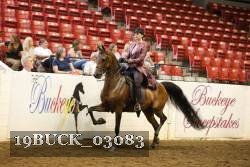 19BUCK_03083 proof