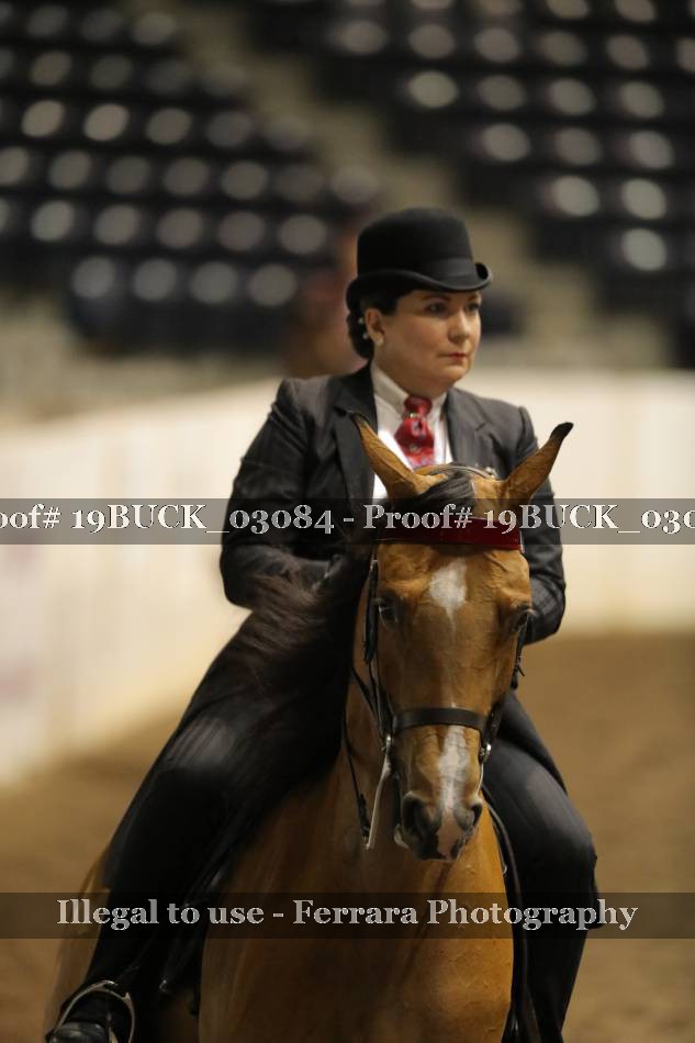 Proof 19BUCK_03084