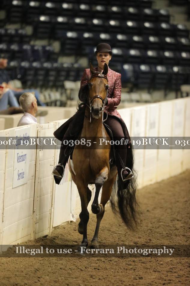Proof 19BUCK_03085