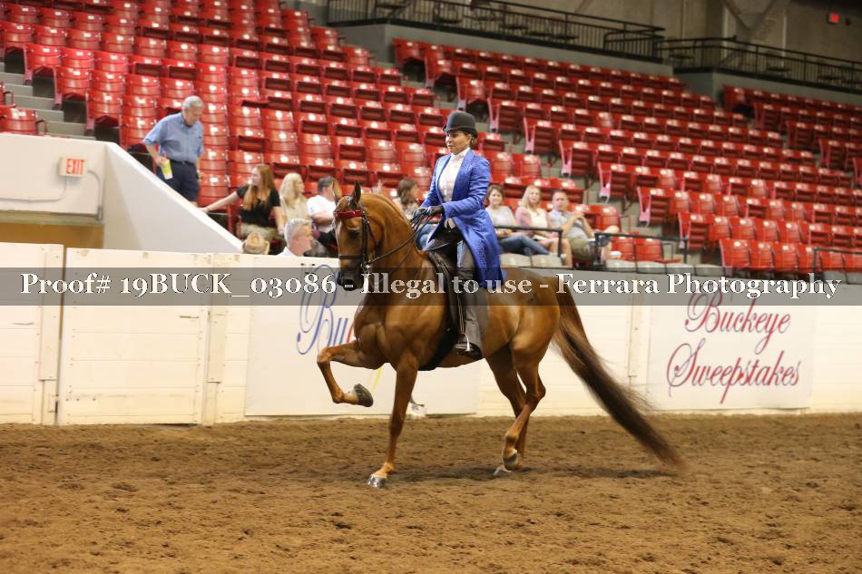 Proof 19BUCK_03086
