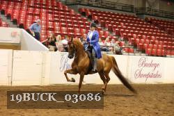 19BUCK_03086 proof