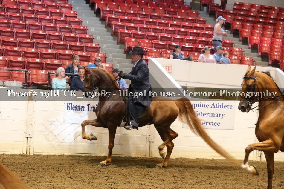 Proof 19BUCK_03087