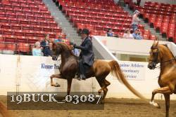 19BUCK_03087 proof