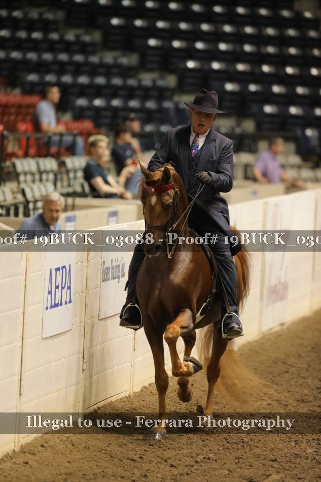 Proof 19BUCK_03088