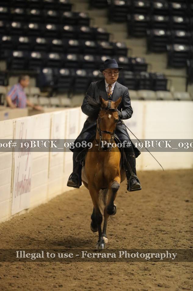 Proof 19BUCK_03089