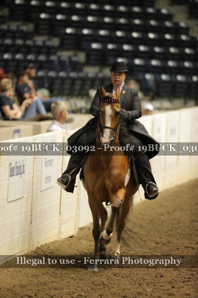 Proof 19BUCK_03092