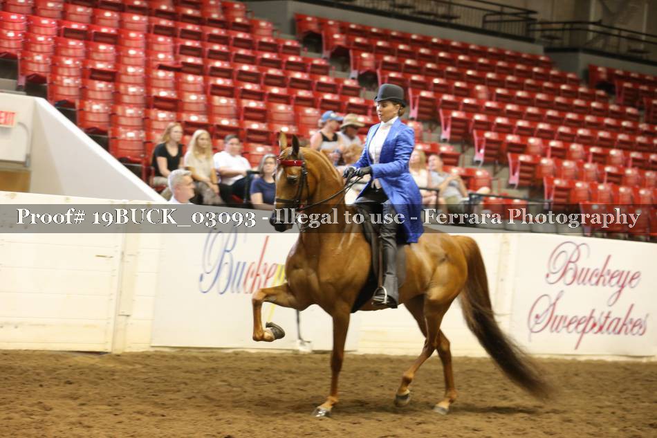 Proof 19BUCK_03093