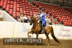 19BUCK_03093 proof